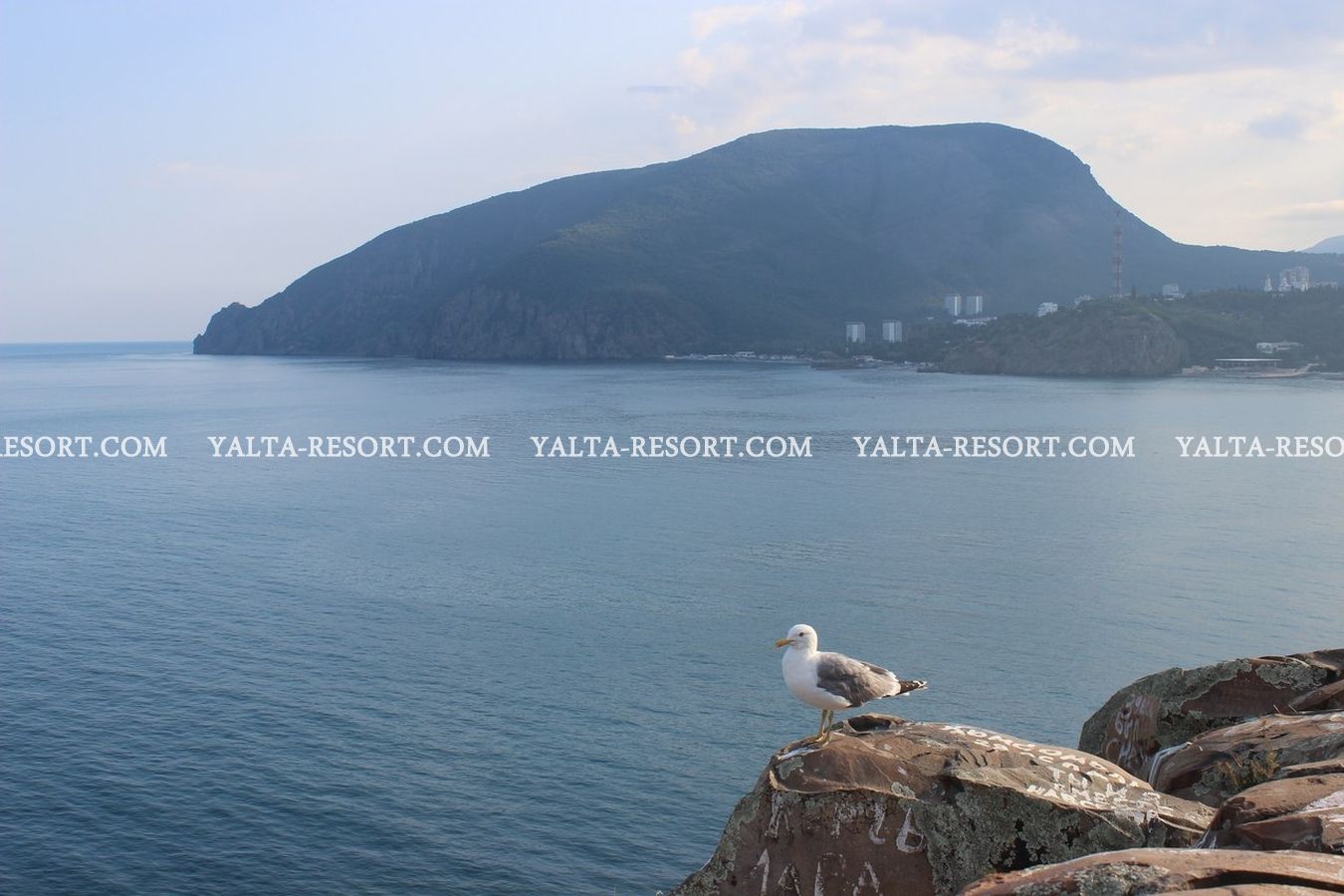 Утес Ялта. Утес в Новороссийске. Утес курорт Челябинск фото.
